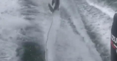 Outrage, investigation over video of live shark being dragged behind