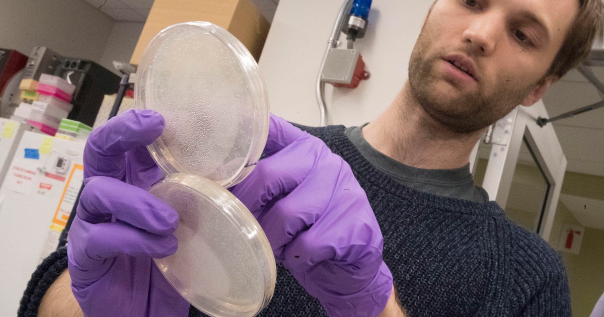 Scientists build DNA from scratch to alter life's blueprint - CBS News