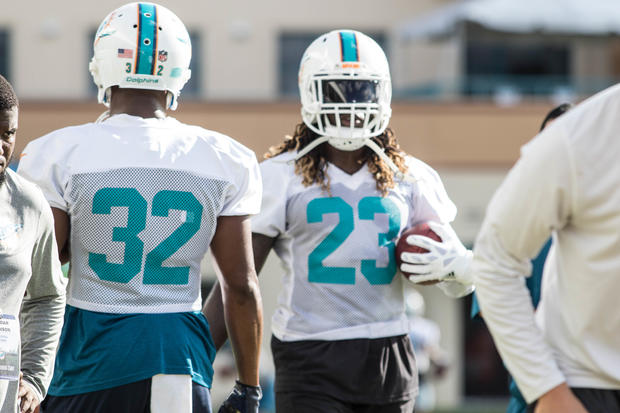 Dolphins Training Camp Day 1 