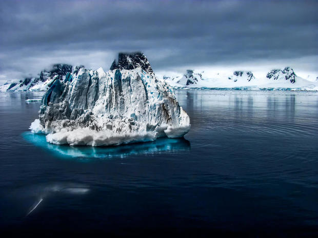 climate change iceberg migration 
