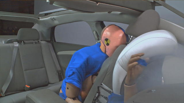 seat-belt-survery-van-cleave.jpg 