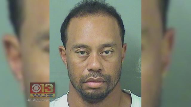 tiger-woods.jpg 