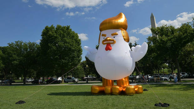 Large inflatable chicken placed near White House 