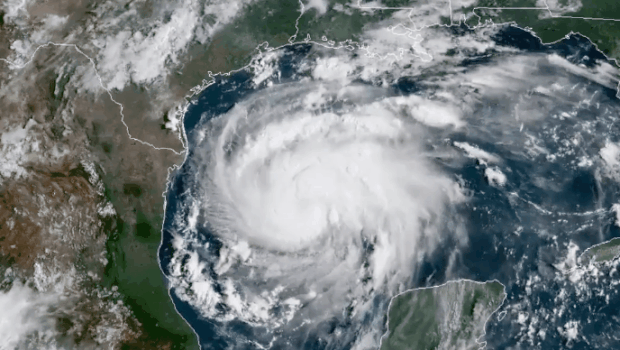 harvey.gif 