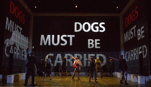Curious Incident of the Dog in the Night-Time - Verified Ashley 