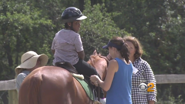 horse-therapy.png 