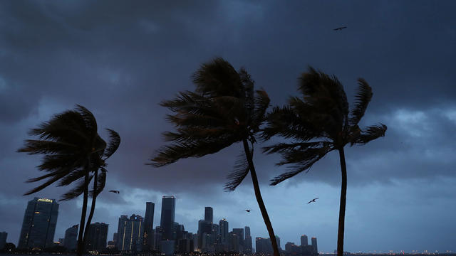 Florida Begins Preparing For Hurricane Irma 