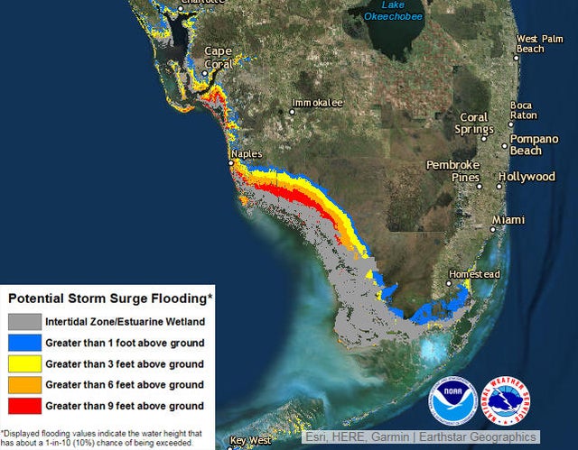 hurricane irma storm surge