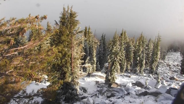 sierra-summer-snow-092117.jpg 