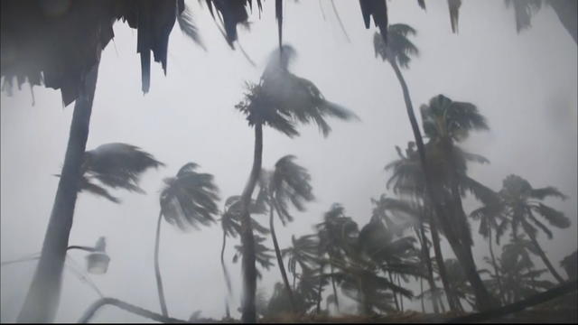 hurricane-maria-6pkg_frame_0.jpg 
