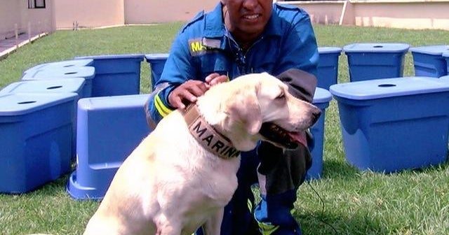Frida, su historia y entrenamiento - CBS News