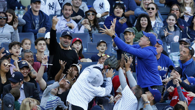 Yankees Expanded Netting Baseball 