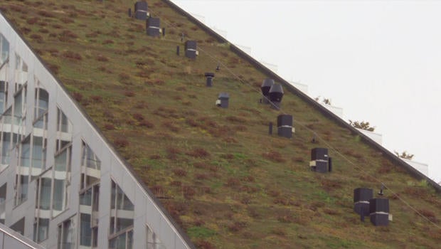 grass-rooftop-with-bike-run-copenhagen.jpg 
