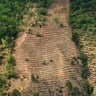 DOUNIAMAG-GUATEMALA-DROUGHT-DEFORESTATION 
