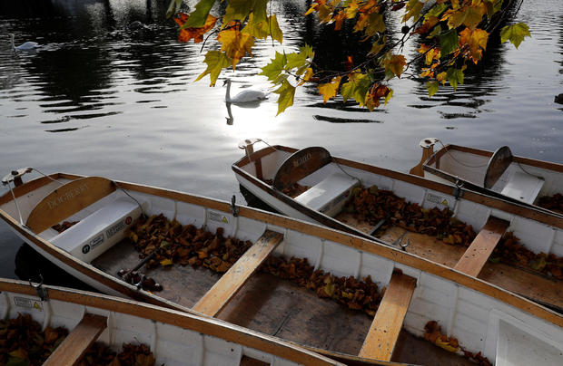 Fallen autumn leaves gather in rowing boats on the River Avon in Stratford-upon-Avon 