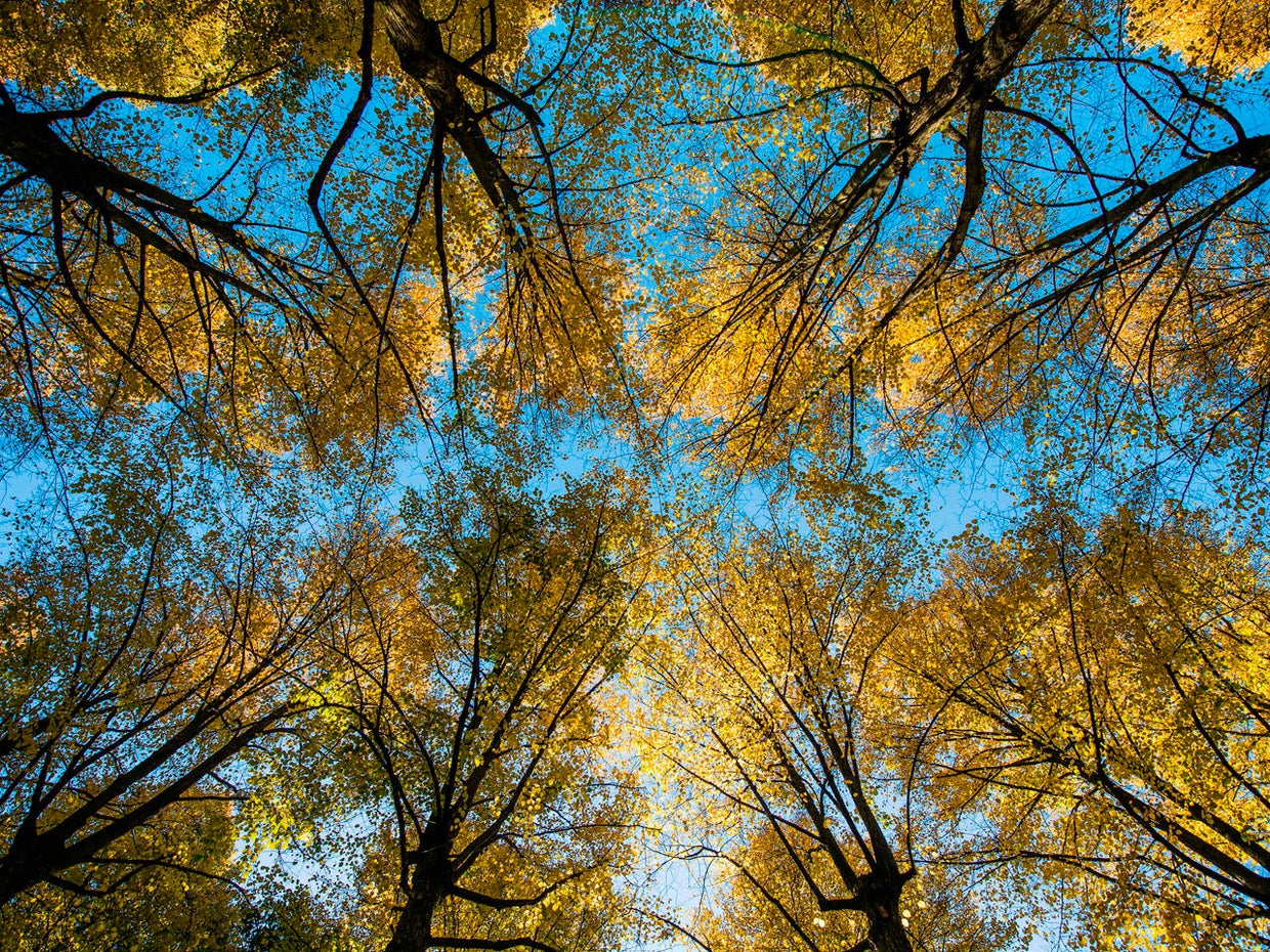 SWEDEN-WEATHER-AUTUMN 