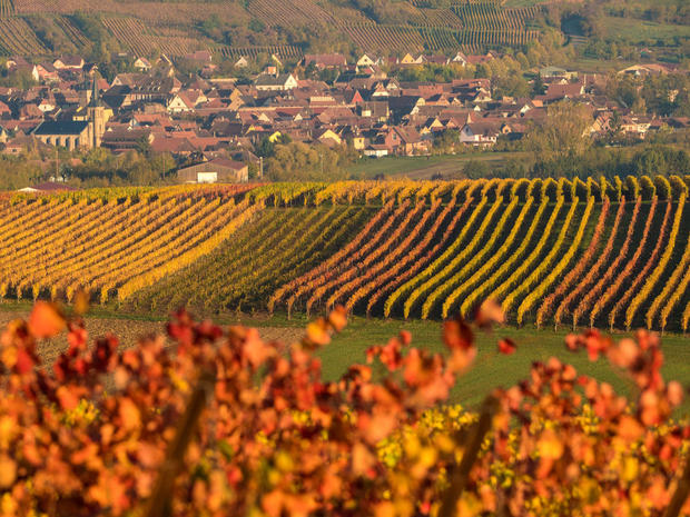 FRANCE-AGRICULTURE-VITICULTURE-WEATHER-FEATURE 