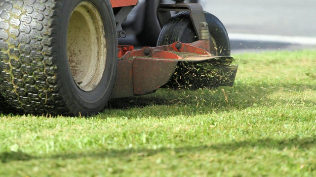 Close-up of blade cutting grass 