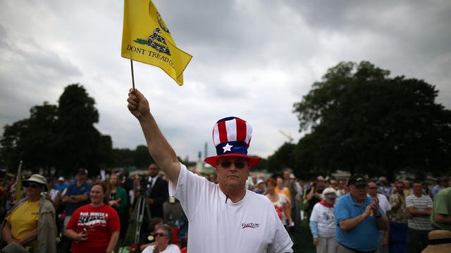 Tea Party Activists Protest IRS At U.S. Capitol 