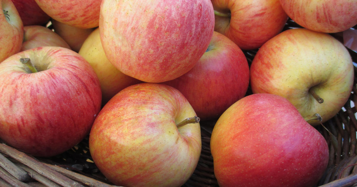 Organic apples good for gut health: study