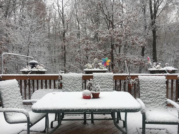 snow-in-blaine-backyard-connie-larson.jpg 