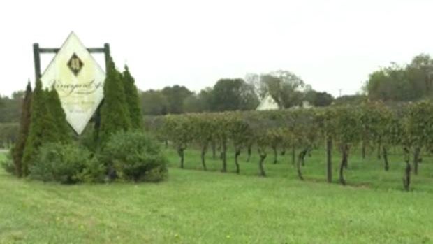winery.jpg 