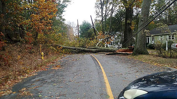 andover-large-tree-down.jpg 