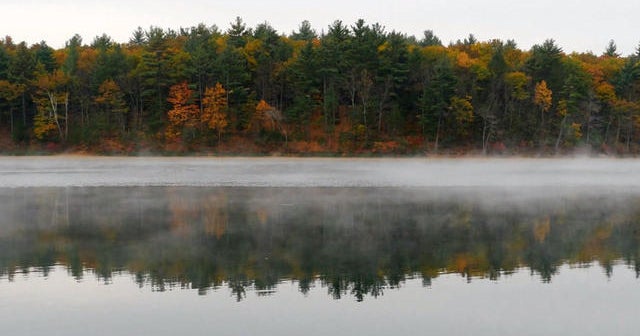 Nature: Walden Pond