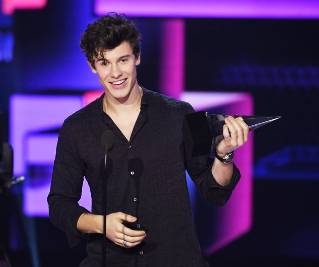 2017 American Music Awards - Show