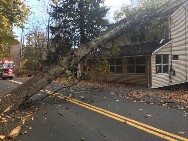 West Nyack Tree Fall 