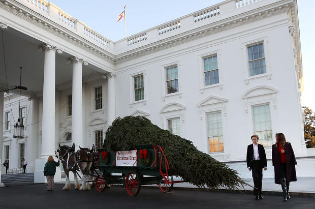 First Lady Melania Trump Receives White House Christmas Tree 