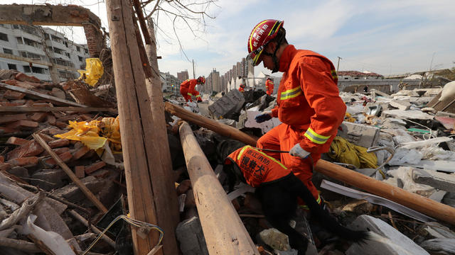 Rescue worker works with a rescue dog at the site of a blast in Ningbo 