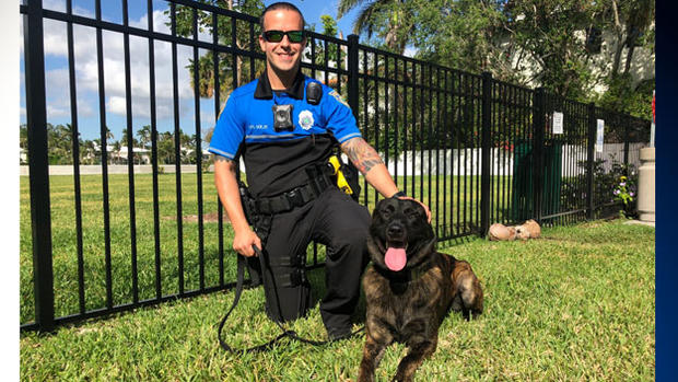Thor Miami Beach PD Police Dog 