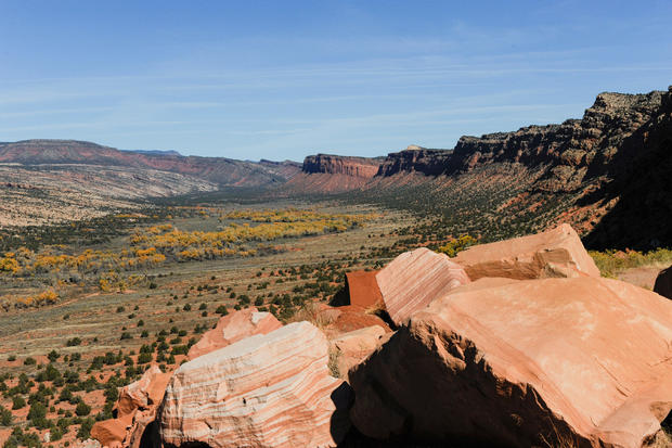 Comb Wash / Bears Ears National Monument 
