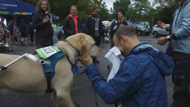 Teamwork transcends the field for America's deaf team - CBS News