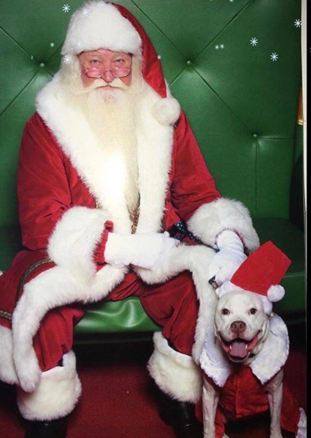 Awkward mall Santa photos