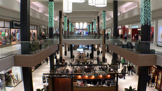 roseville-mall-christmas-shopping.jpg 