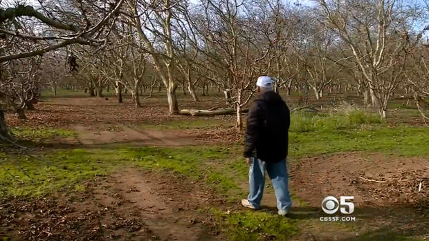 Dry December Leaves Central Valley Growers Fearing Return of Drought 