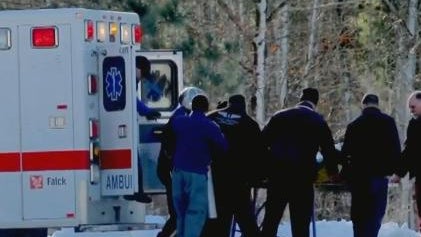 pit-bull-untitled-1.jpg 