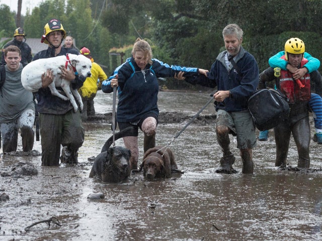 Emergency personnel evacuate local residents and their dogs after a mudslide in Montecito