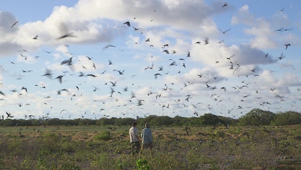 wake-atoll-national-wildlife-refuge-conor-knighton-john-gilardi-620.jpg 
