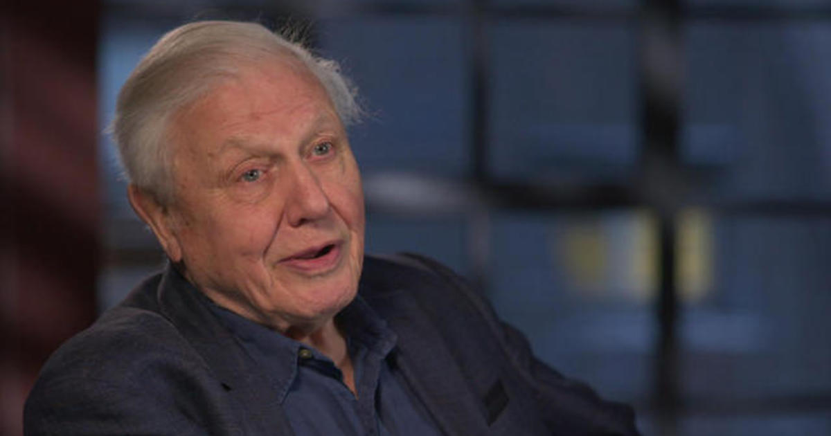 Sir David Attenborough on how filming wildlife has changed - CBS News