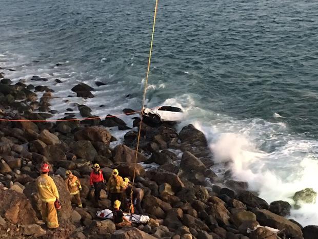 PCH Driver Dies After Car Plunges Into Ocean, Dog Rescued 