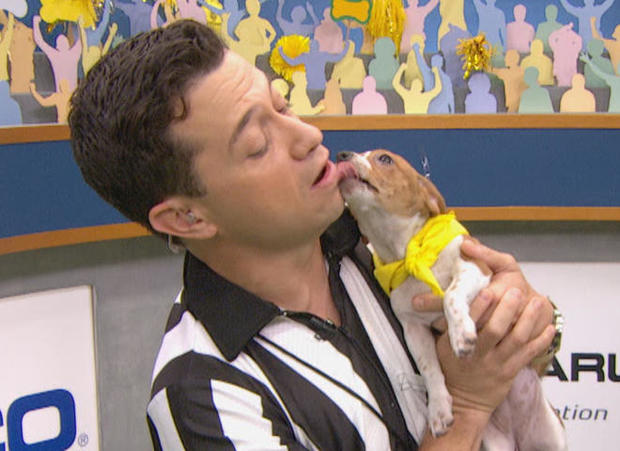 puppy-bowl-player-kisses-the-ref-promo.jpg 