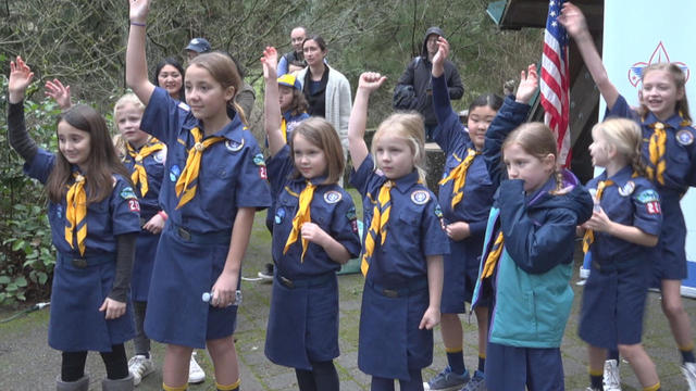boy-scouts-girl-cub-scouts-promo.jpg 