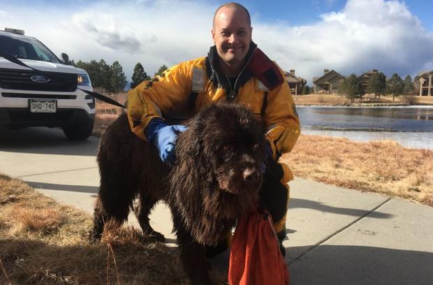 S Metro FD dog saved AFTER 