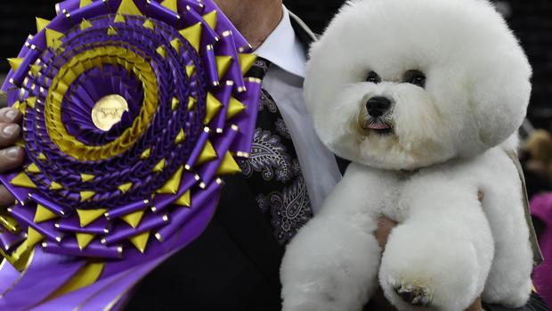 Westminster Kennel Club Dog Show 2018 