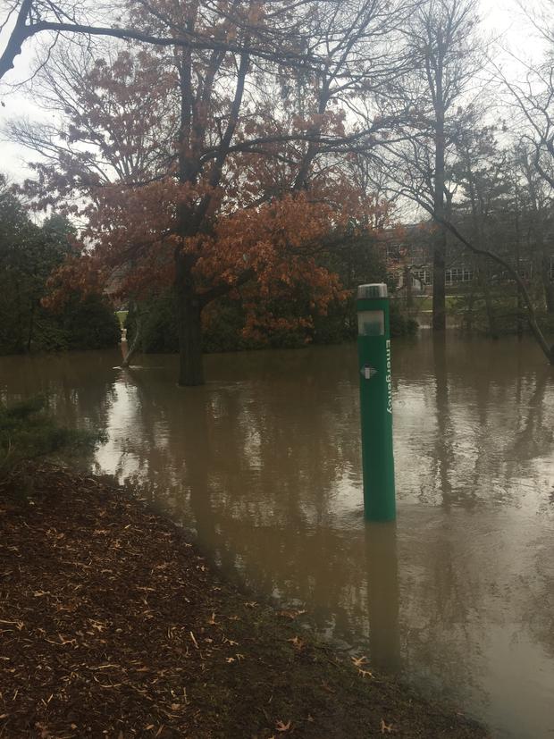 MSU flooding post (William Saunders) 