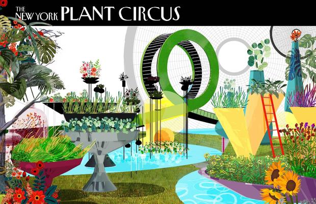 plant-circus-2-credit-terrain-work_preview.jpeg 