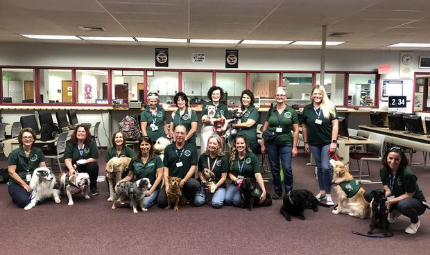 therapy dogs 2 